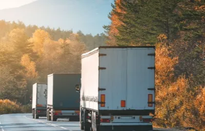 Ankara Topağacı | Klima Taşıma